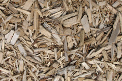 biomass boilers Woodlake
