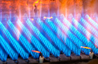 Woodlake gas fired boilers